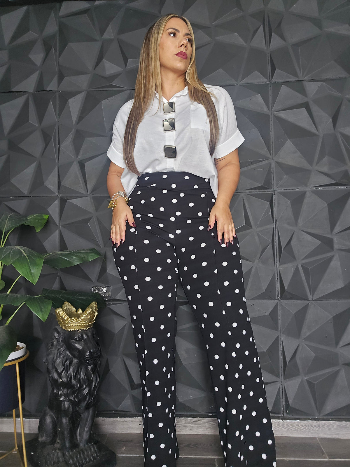 Camisa Básica Blanca Botones Silver